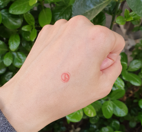 투표도장 인증샷 방법 주의사항 총정리 2 20250529 203434