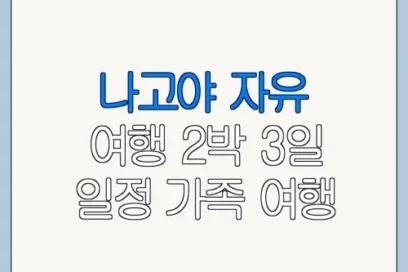 나고야 자유 여행 2박 3일 일정 가족 여행 방문 전 체크리스트