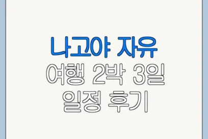 나고야 자유 여행 2박 3일 일정 후기 준비물 고객센터 문의 방법