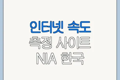 인터넷 속도 측정 사이트 NIA 한국 지능 정보 사회 진흥원 이용 전 확인사항