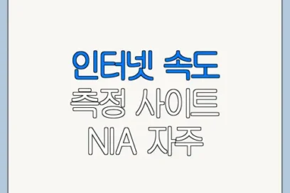 인터넷 속도 측정 사이트 NIA 자주 묻는 질문과 주의사항