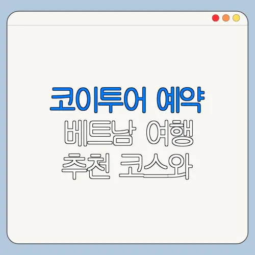 코이투어 예약 베트남 여행 추천 코스와 이용 꿀팁
