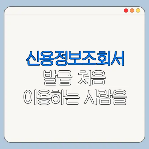 신용정보조회서 발급 처음 이용하는 사람을 위한 쉬운 안내